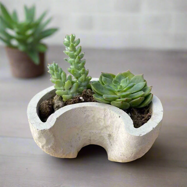 Crescent Moon Planter