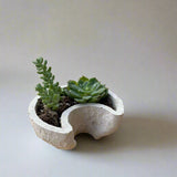 Crescent Moon Planter