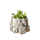 Rock Planter