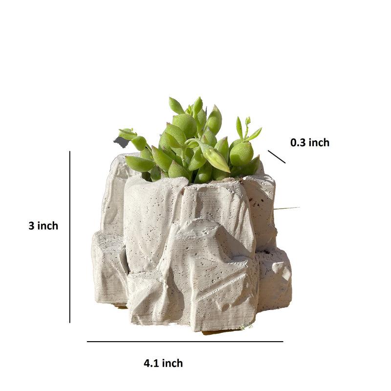 Rock Planter