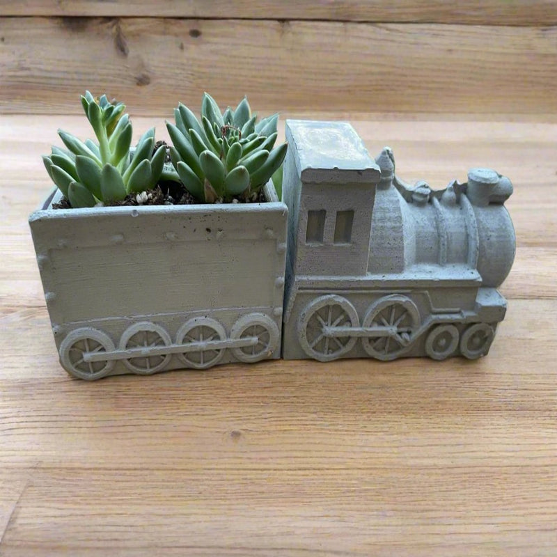 Vui Train Planter