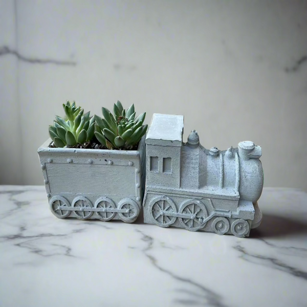 Vui Train Planter