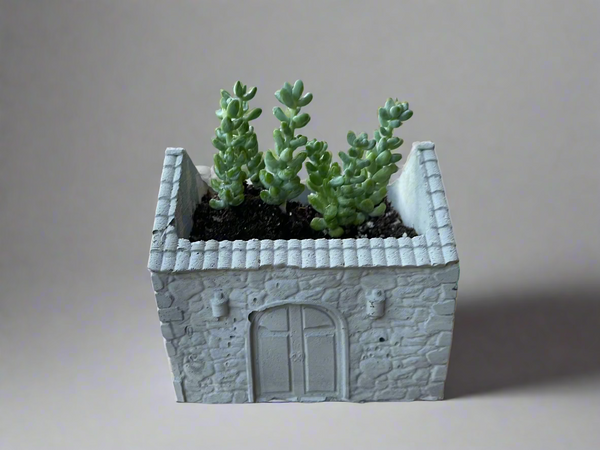 Vui House Planter