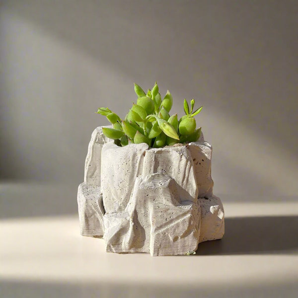 Rock Planter