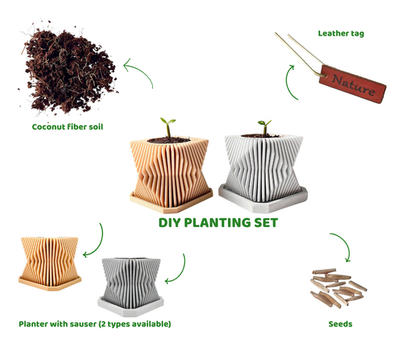 DIY Planting Set - Desert Rose Flower - Grow Green, Feel Good