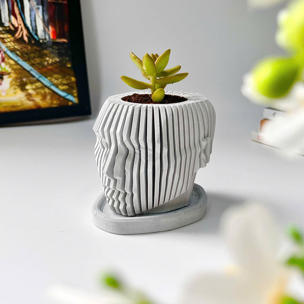 Random 2" Succulent In Concrete Human Face Planter
